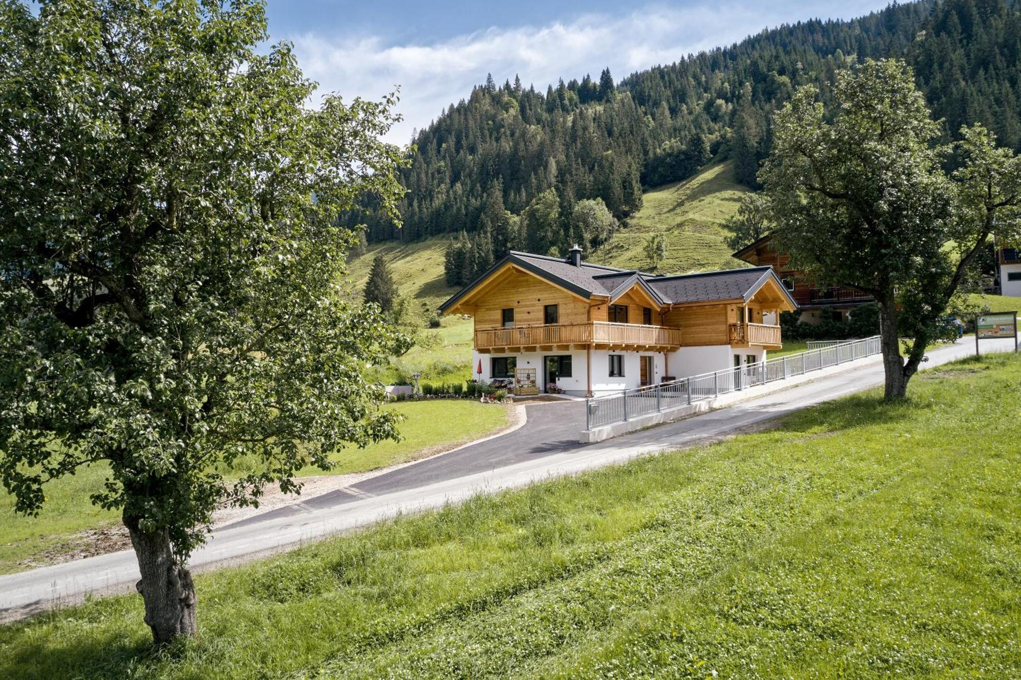 Ferienwohnungen Schwabhof Kleinarl Buitenkant foto