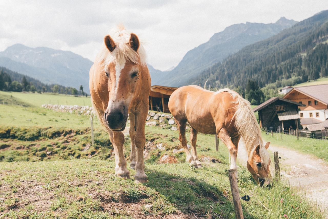 Ferienwohnungen Schwabhof Kleinarl Buitenkant foto