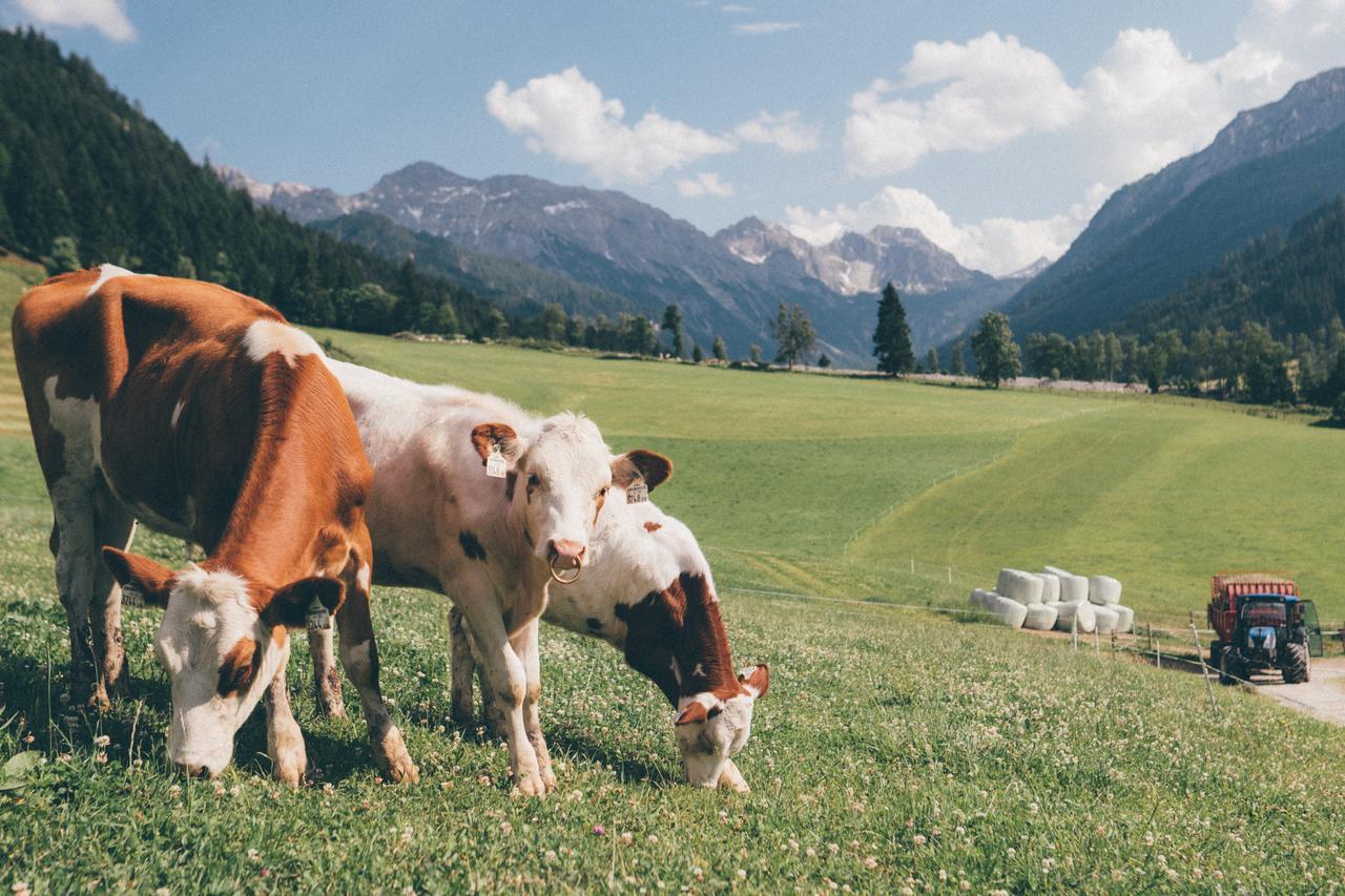 Ferienwohnungen Schwabhof Kleinarl Buitenkant foto